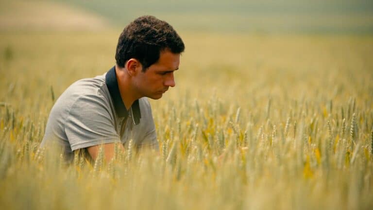 realisation cargill regenconect