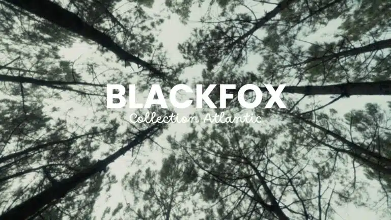 Blackfox - Publicité web