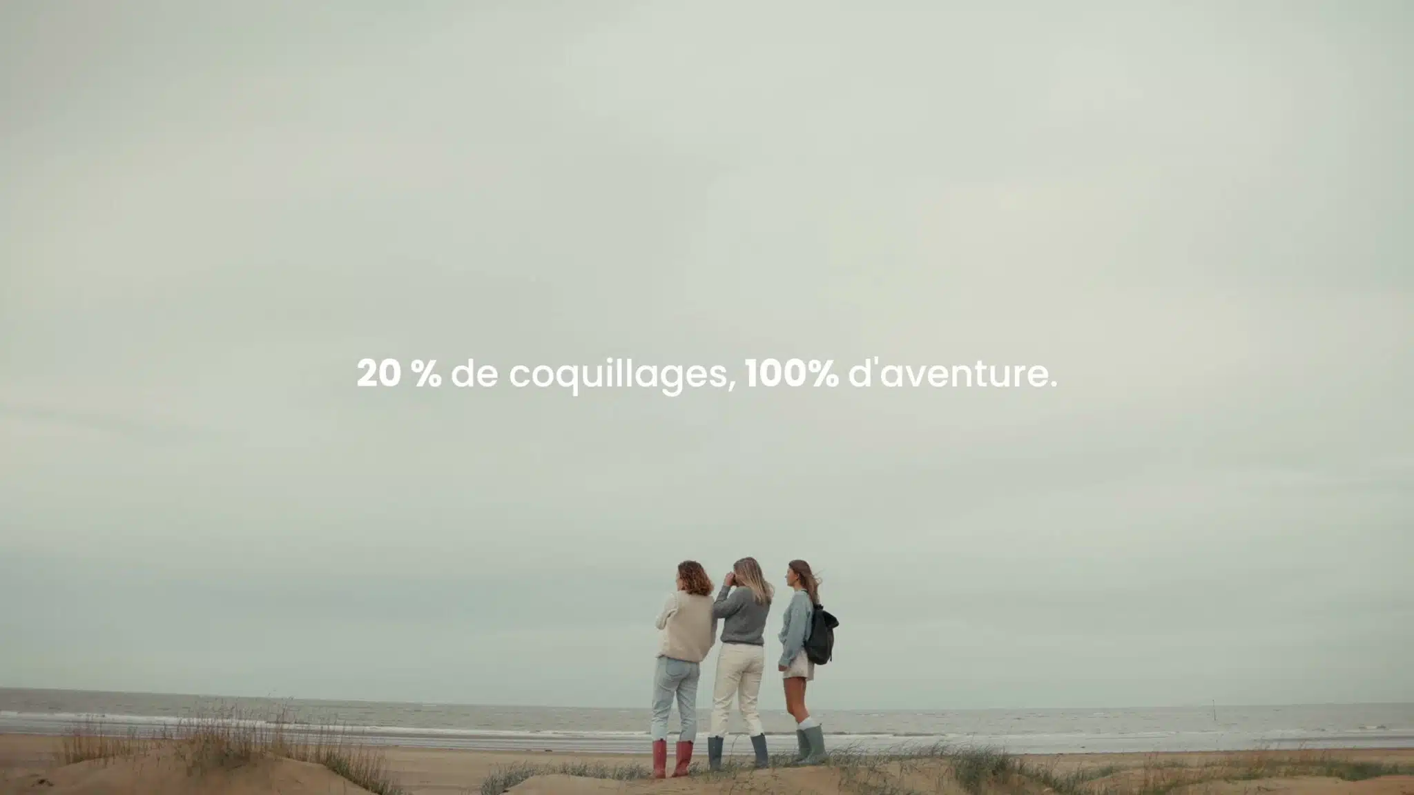 Blackfox - Publicité web