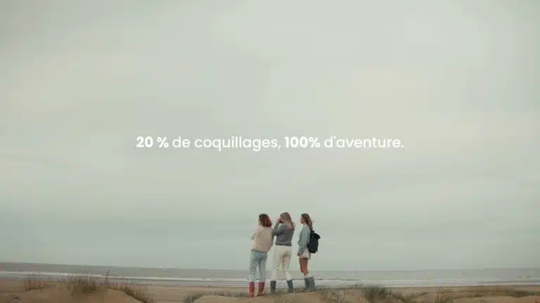 Blackfox - Publicité web